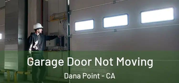  Garage Door Not Moving Dana Point - CA