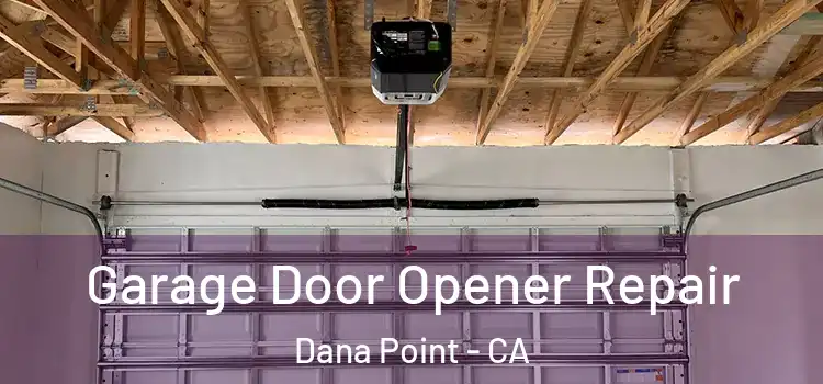  Garage Door Opener Repair Dana Point - CA