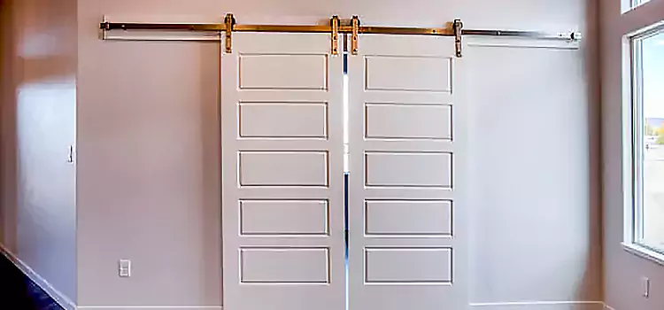 Glass Barn Door with Installation Hardware Kit Dana Point