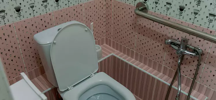 Meeting Diverse Needs With Accessible Restroom Solutions in Dana Point, CA